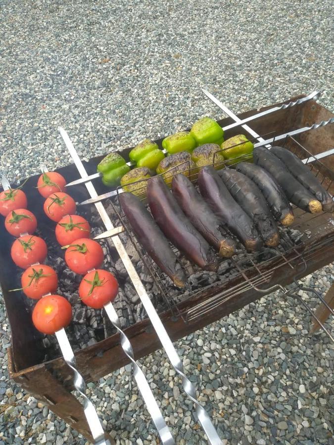 Эко Домики У Моря В Гаграх غاغرا المظهر الخارجي الصورة